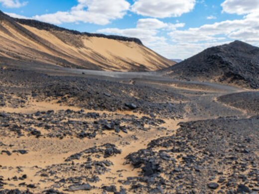 51812158863_5f0050e479_o-768×432