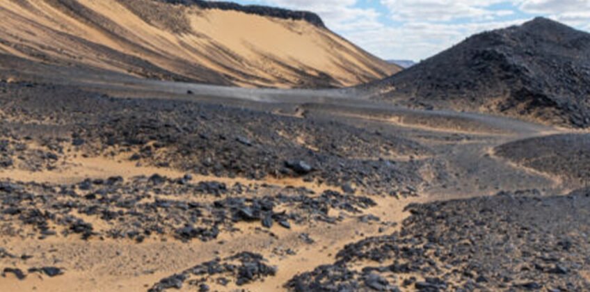 51812158863_5f0050e479_o-768×432